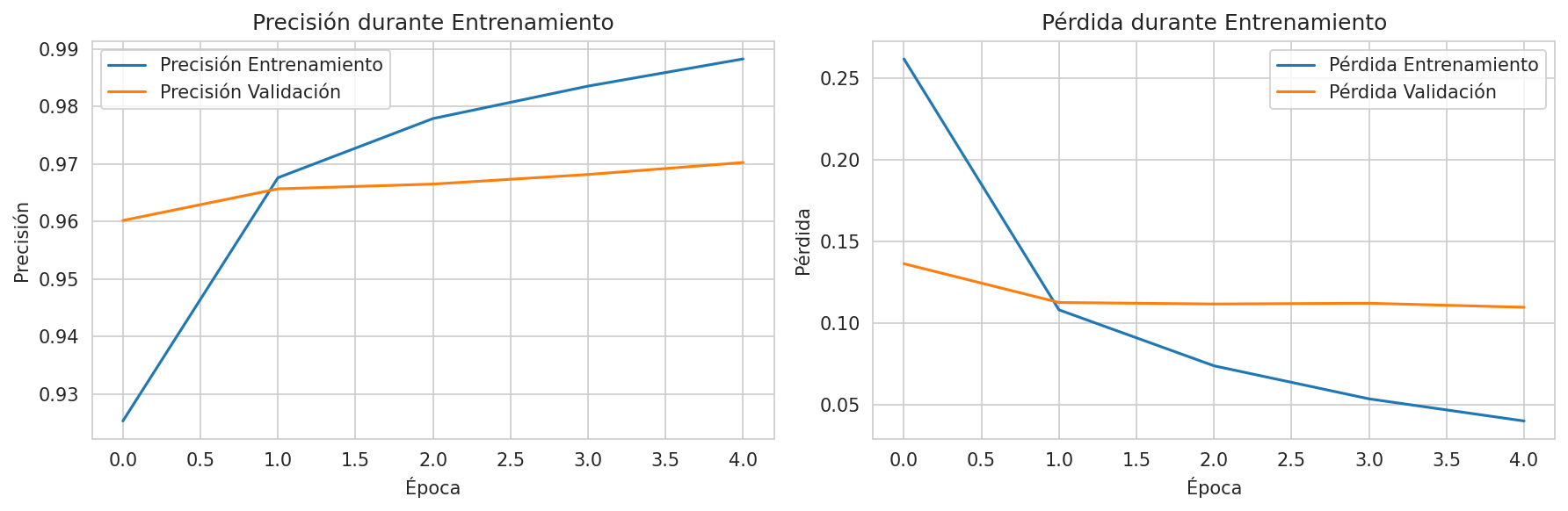 Histórico de Entrenamiento